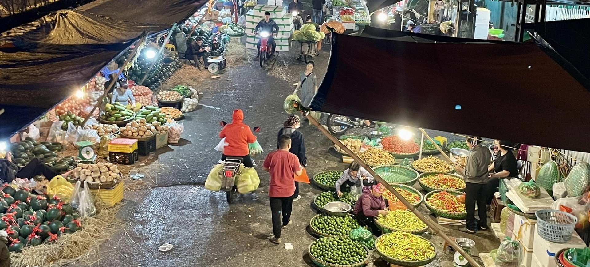 Trải nghiệm du lịch từ chợ đầu mối 