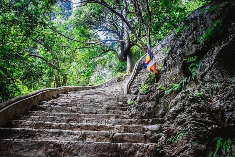 Trải nghiệm Tuyệt Tình Cốc Ninh Bình